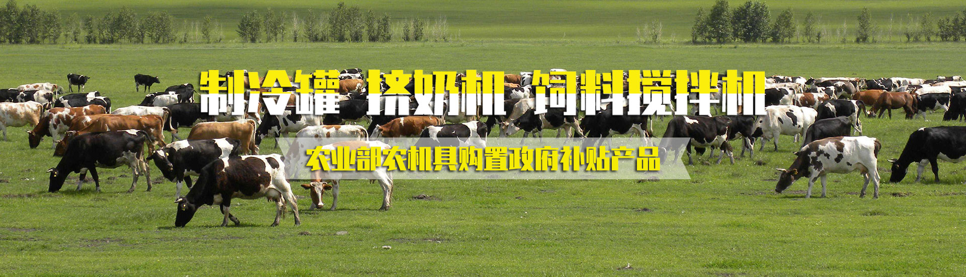 樱花视频污在线观看机械